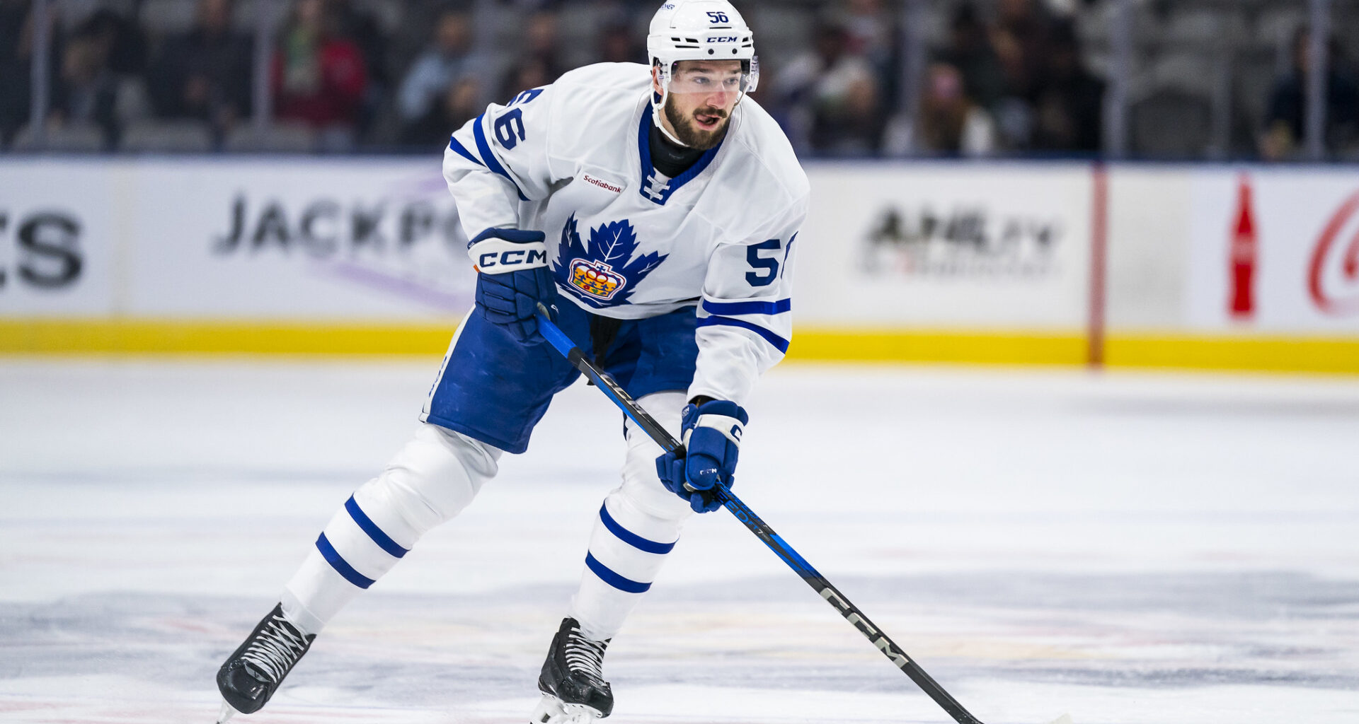 Maple Leafs Organization Announces New Deals for a Pair of Forwards