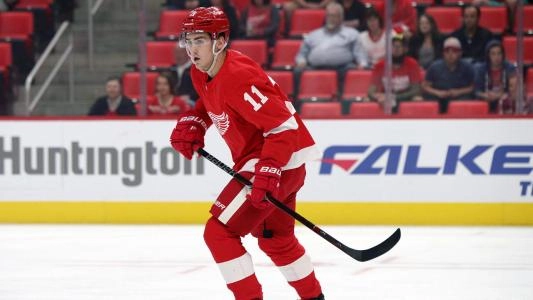 Former Detroit Red Wing Filip Zadina.