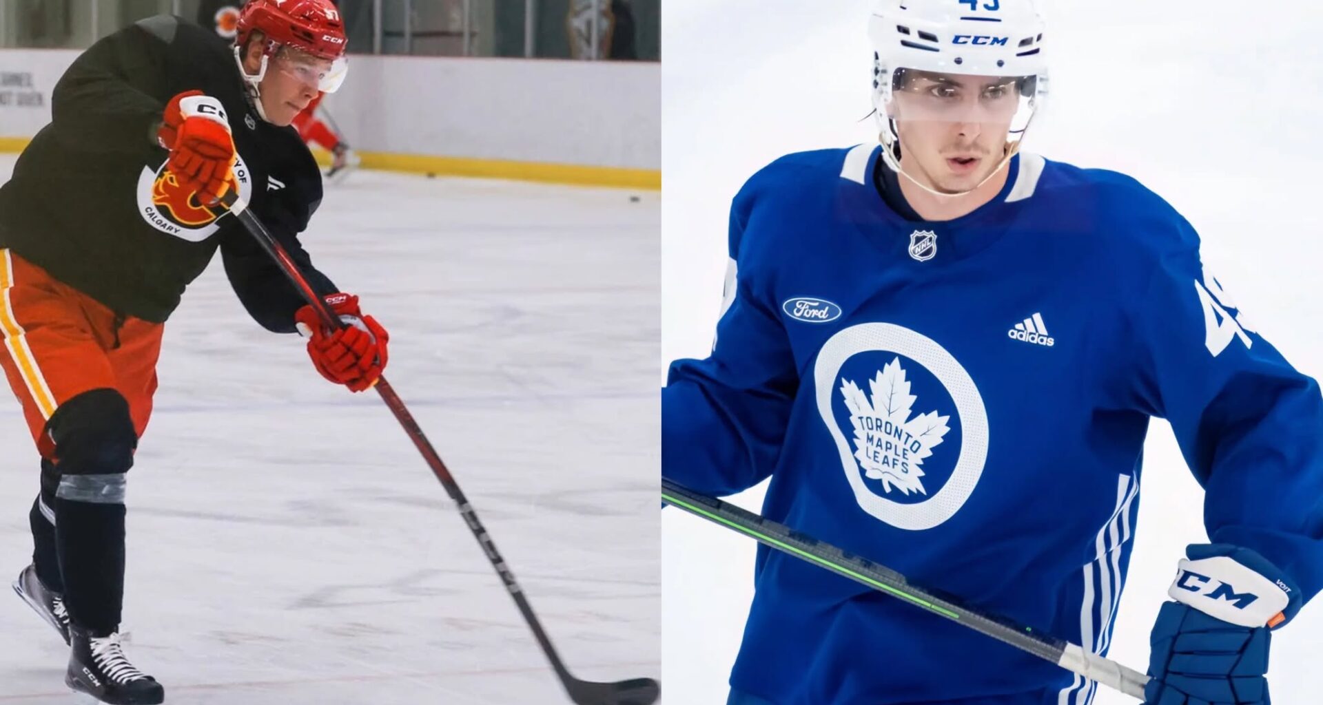 Two Players Have Just Been Placed on Waivers Including a 6-Foot-5 Giant Defenseman