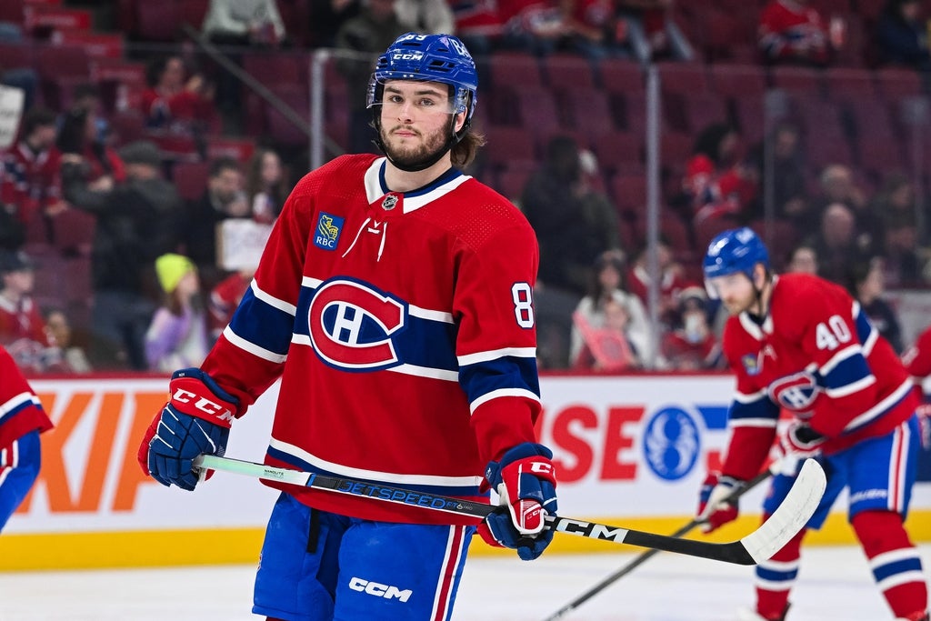 Canadiens Floated in Trade Proposal Sending Joshua Roy for 6-Foot-5 Monster Defenseman