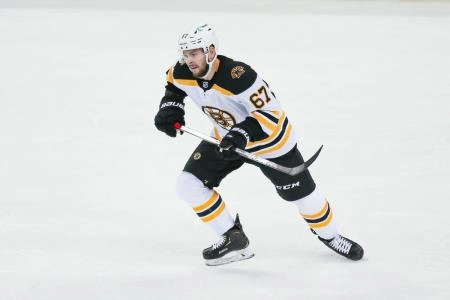 Jakub Zboril with the Boston Bruins.