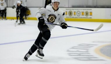 james-hagens-boston-bruins