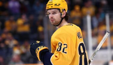 How ex-Preds forward Tommy Novak went from promising to passed over | Hockey