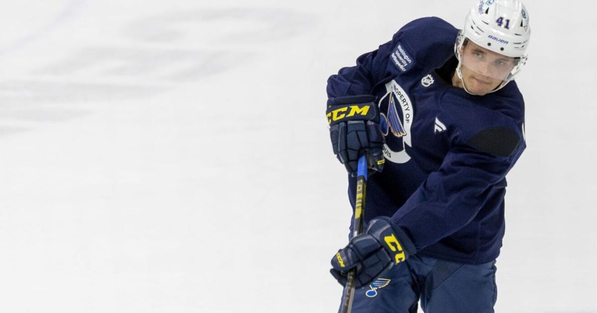 Blues' Theo Lindstein looks forward to North American hockey