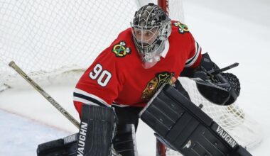 Hockey's emergency backup goalies face uncertain future