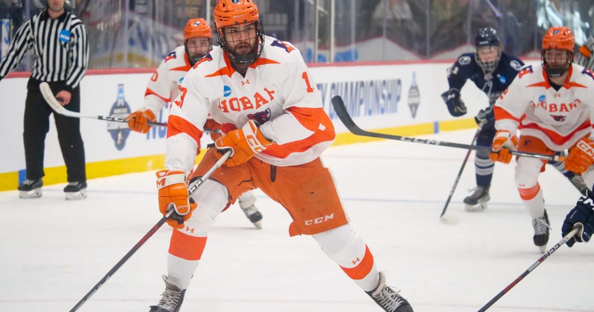 MEN'S ICE HOCKEY: A fourth former Statesmen goes pro this summer | Sports