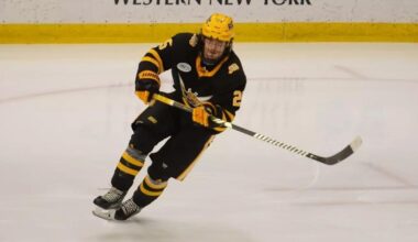 Nanooks announces two additions to the UAF hockey team | Sports