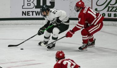 Pair of Spartans heading to USA Hockey's 2025 World Junior Showcase