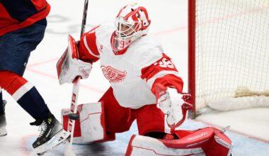 Red Wings lose ground with 2-1 overtime loss in St. Louis