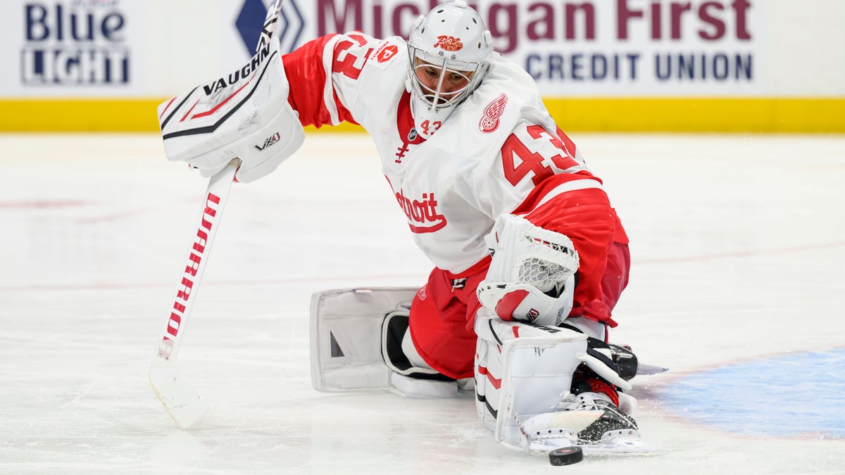 Slow start costly in Wings' 4-2 loss against red-hot Hurricanes