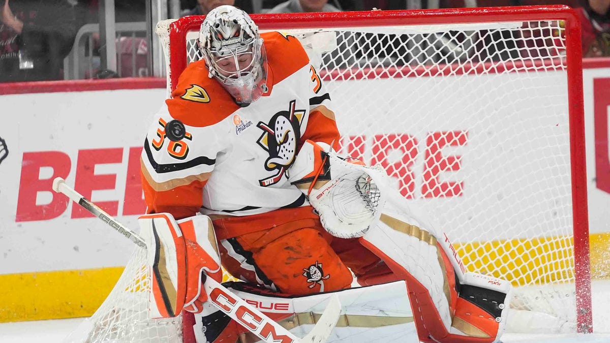 ESPN hands out offseason grade for Detroit Red Wings