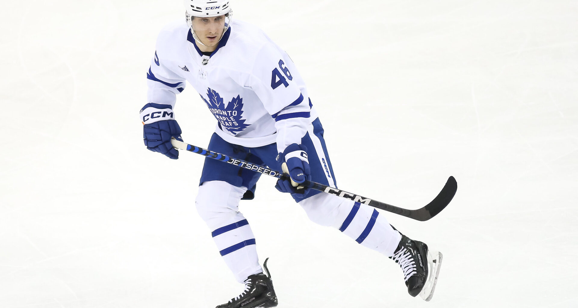 Alex Steeves Toronto Maple Leafs