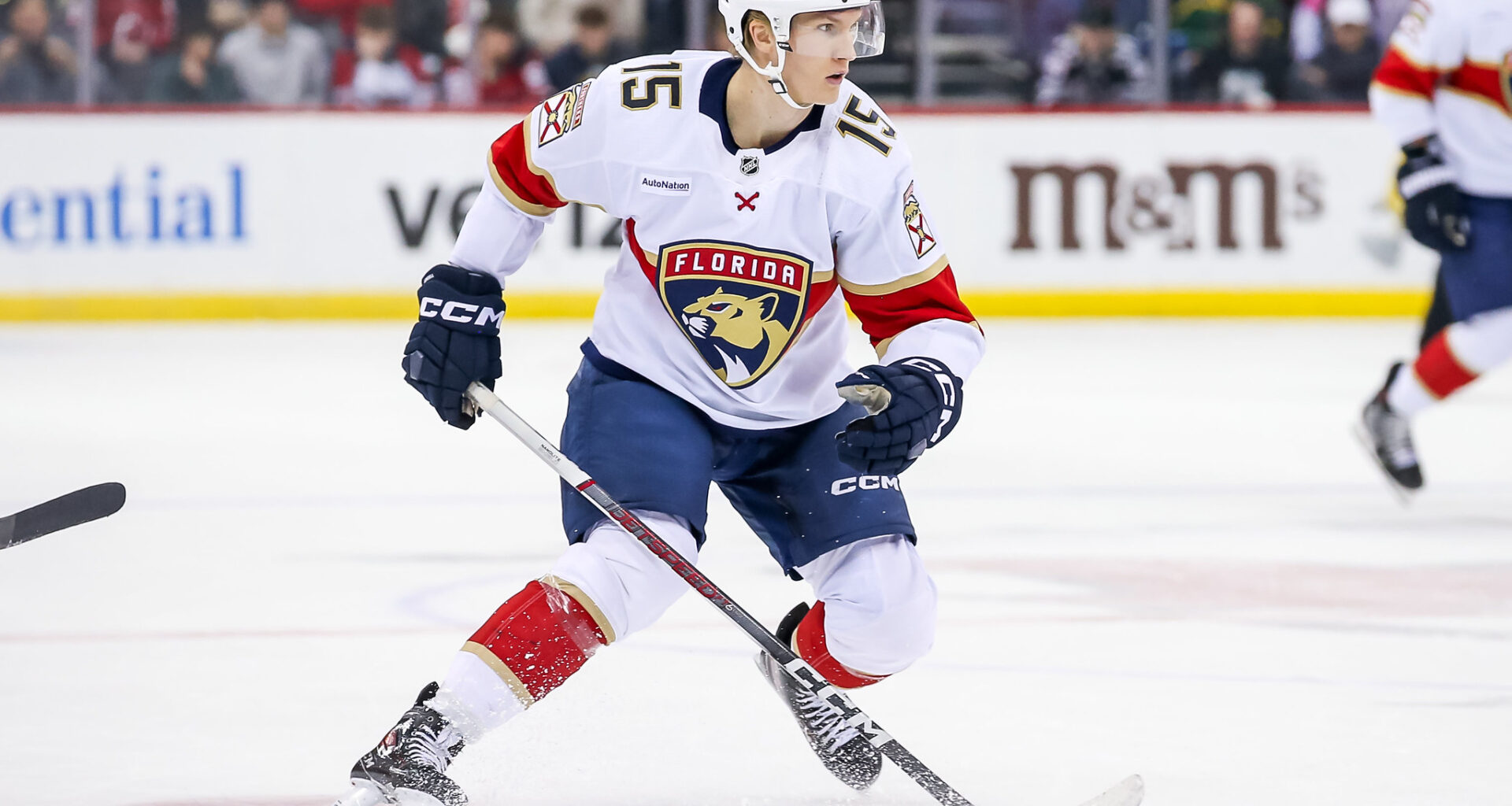 Anton Lundell Florida Panthers