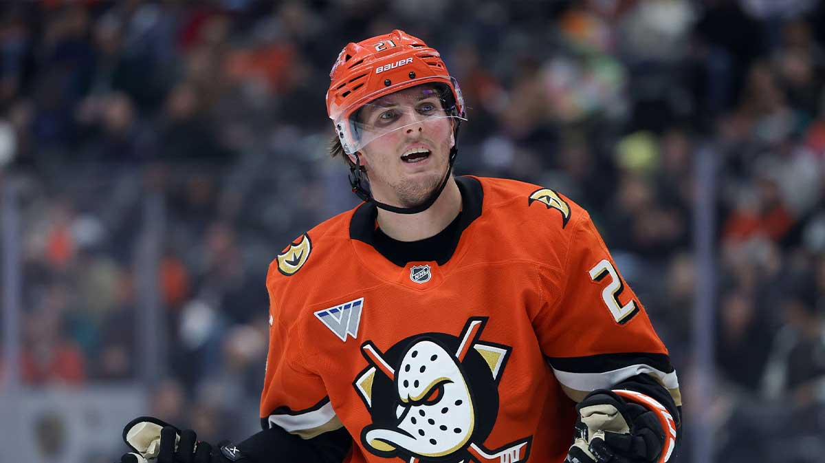 Anaheim Ducks center Isac Lundestrom (21) skates against the Nashville Predators during the third period at Honda 
