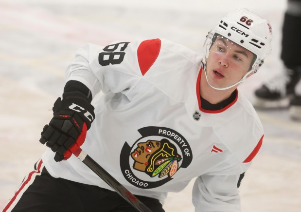 Chicago Blackhawks right wing Martin Misiak (68) practices Wednesday, Sept. 11, 2024, at Fifth Third Arena. (Brian Cassella/Chicago Tribune)