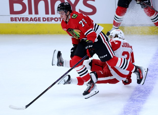 Blackhawks forward AJ Spellacy and Red Wings defenseman Albert Johansson collide in a preseason game at the United Center on Sept. 25, 2024. (Chris Sweda/Chicago Tribune)