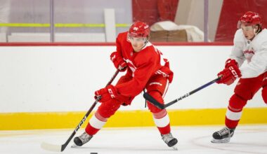 Emmitt Finnie, Red Wings prospect