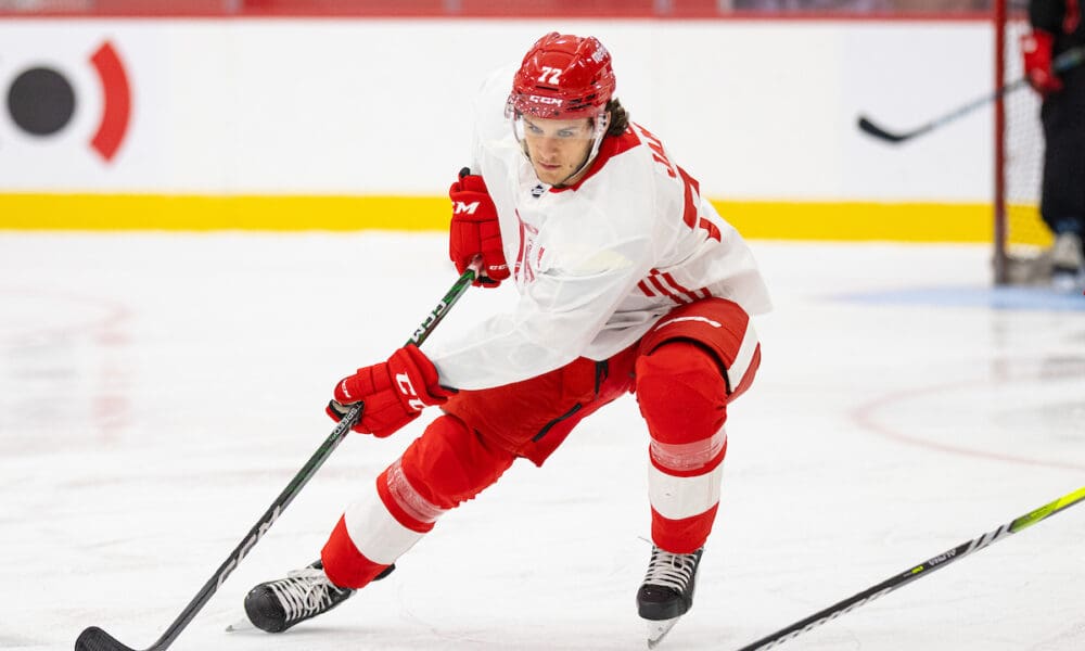 Dylan James, Red Wings prospect