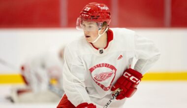 Nate Danielson,, Red Wings prospect