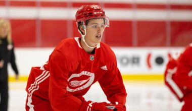 Anton Johnasson, Red Wings prospect