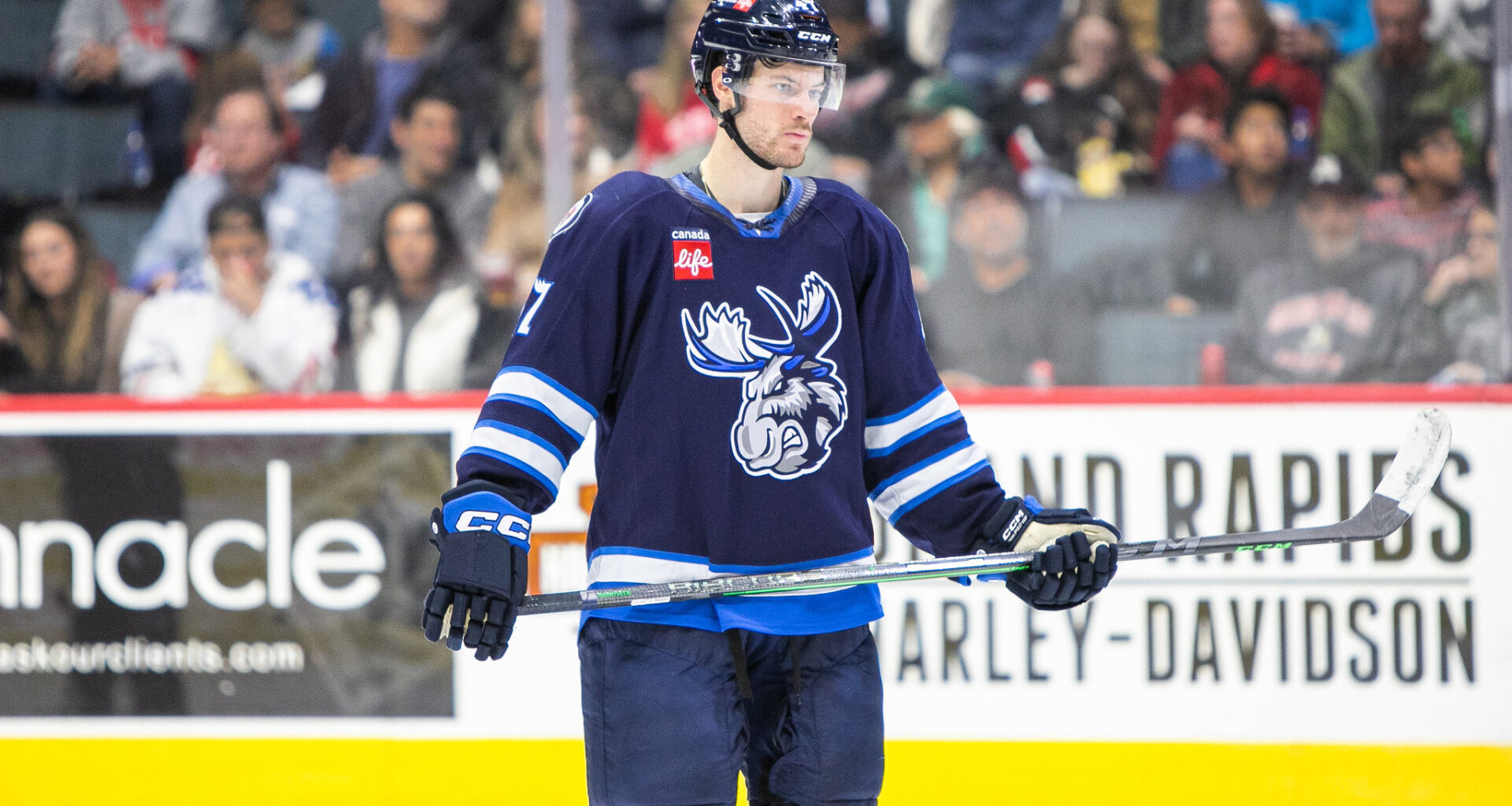 Declan Chisholm Manitoba Moose
