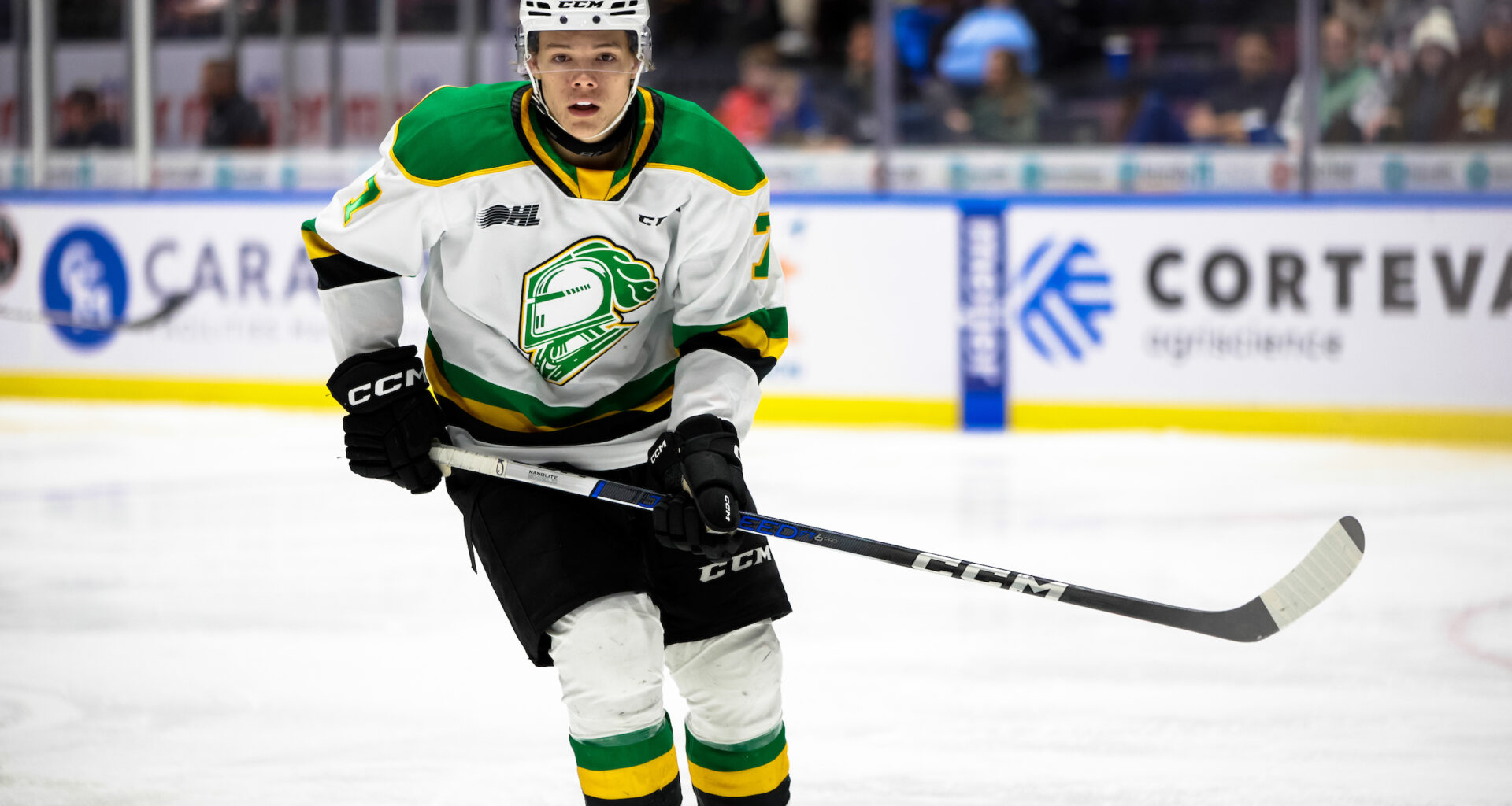 How the Maple Leafs Will Deploy Easton Cowan This Season - The Hockey Writers - Maple Leafs Prospects