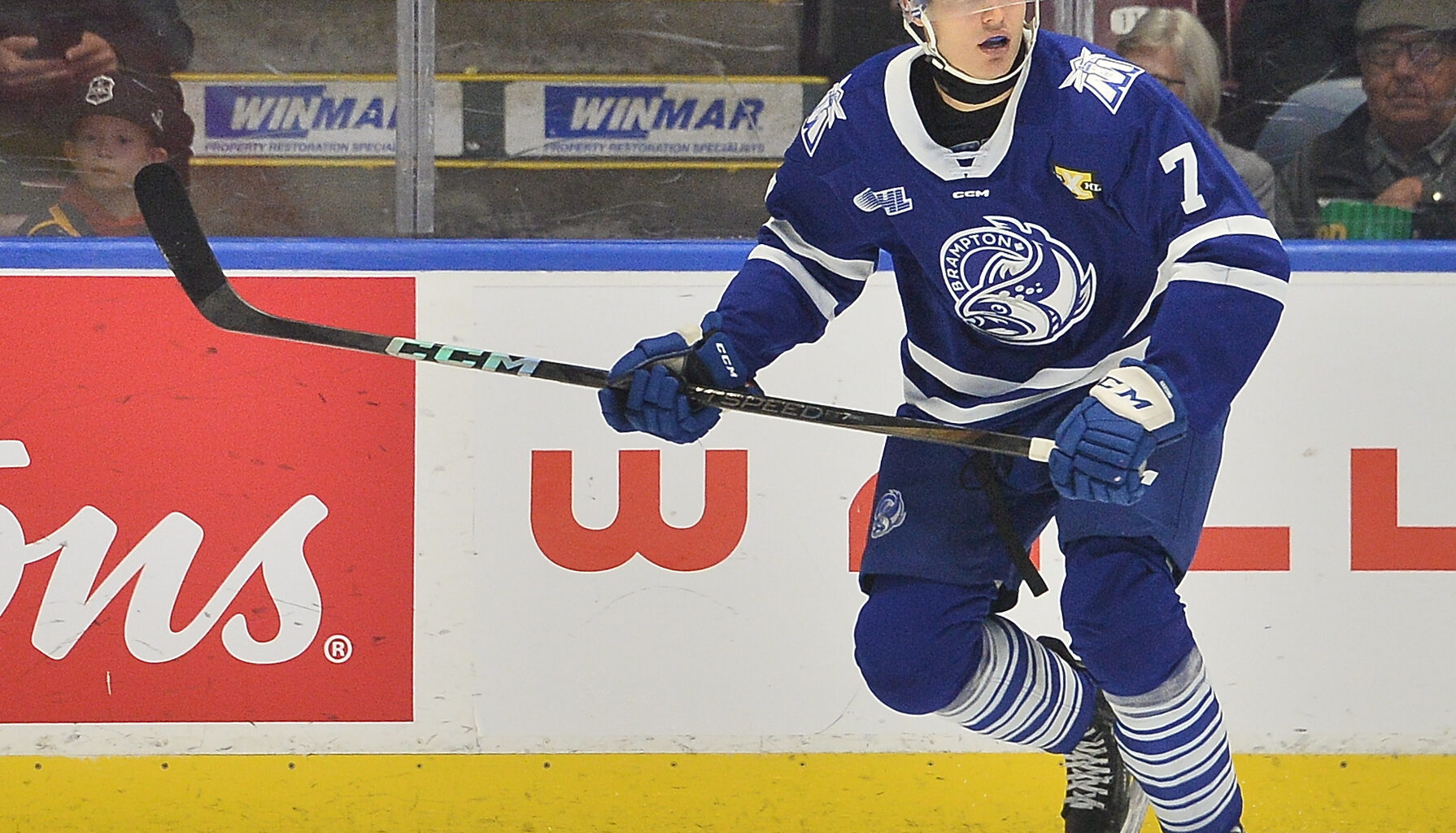 Finn Harding Brampton Steelheads