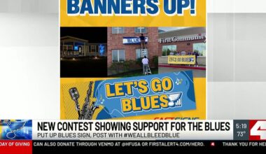 How you can cheer for the Blues during the playoffs and win a prize