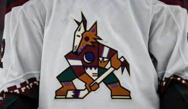 A detailed view of the Arizona Coyotes logo on the jersey worn by Johan Larsson #22 of the Arizona ...