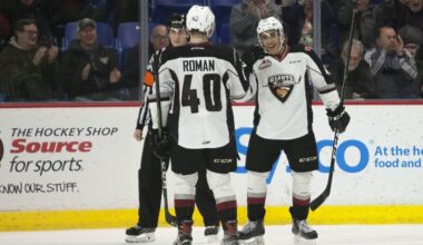 Get to Know the Newest Capital, Justin Sourdif - The Hockey Writers - Washington Capitals