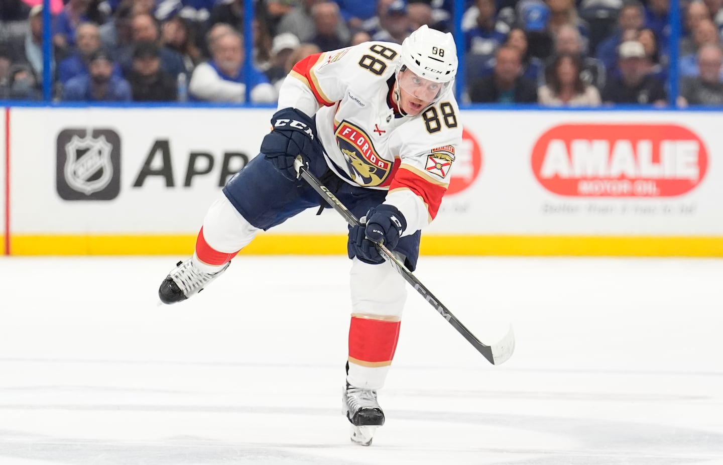 Nate Schmidt had three goals and nine assists during the Panthers' postseason run to a Stanley Cup.