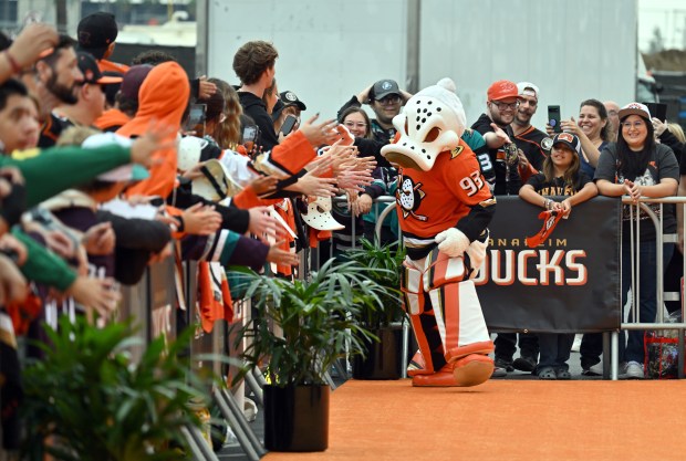 Fans cheer for Ducks mascot Wild Wing during the Orange...