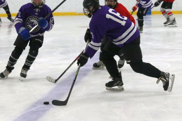The ice hockey teams from Grosse Ile and Brownstown Woodhaven...