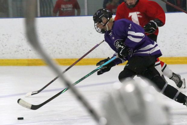 The ice hockey teams from Grosse Ile and Brownstown Woodhaven...