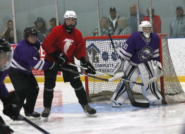 The ice hockey teams from Grosse Ile and Brownstown Woodhaven...