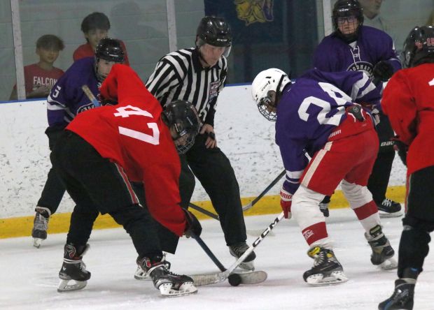 The ice hockey teams from Grosse Ile and Brownstown Woodhaven...