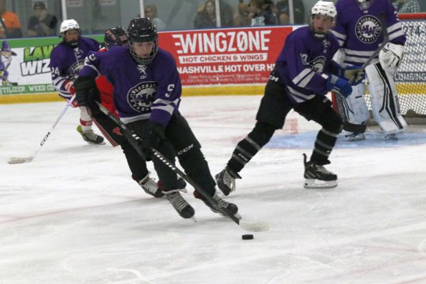 The ice hockey teams from Grosse Ile and Brownstown Woodhaven...