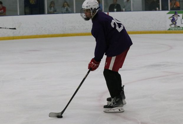 The ice hockey teams from Grosse Ile and Brownstown Woodhaven...