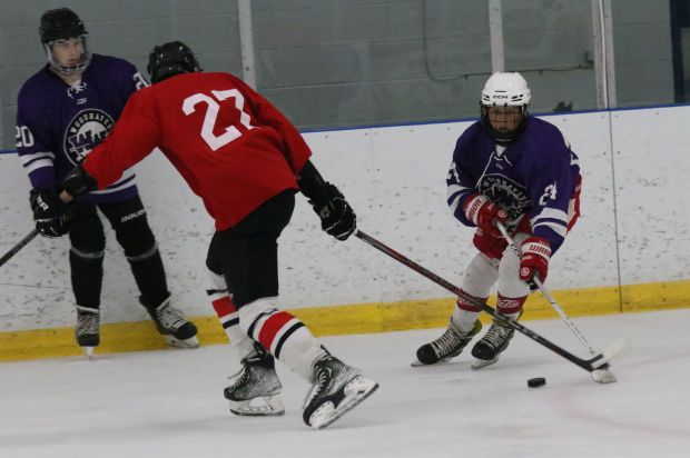 The ice hockey teams from Grosse Ile and Brownstown Woodhaven...
