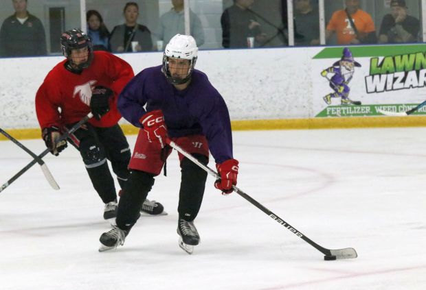The ice hockey teams from Grosse Ile and Brownstown Woodhaven...