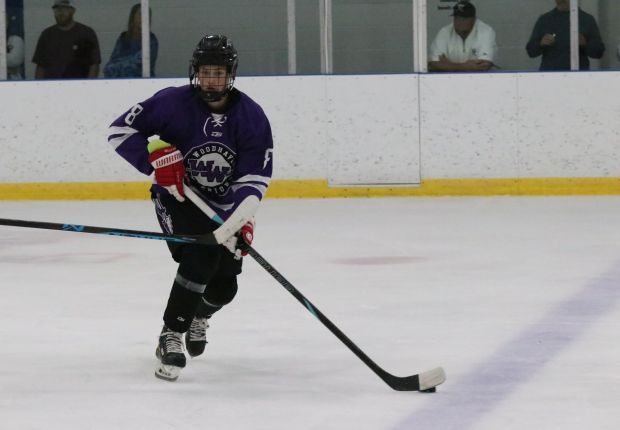 The ice hockey teams from Grosse Ile and Brownstown Woodhaven...