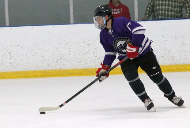 The ice hockey teams from Grosse Ile and Brownstown Woodhaven...