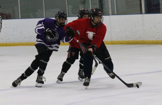 The ice hockey teams from Grosse Ile and Brownstown Woodhaven...