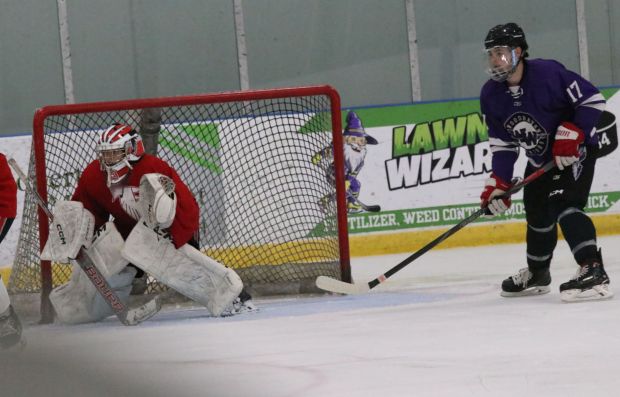 The ice hockey teams from Grosse Ile and Brownstown Woodhaven...