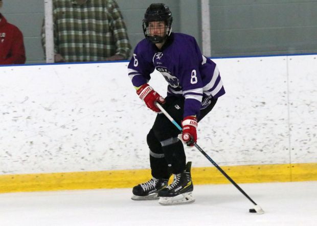 The ice hockey teams from Grosse Ile and Brownstown Woodhaven...