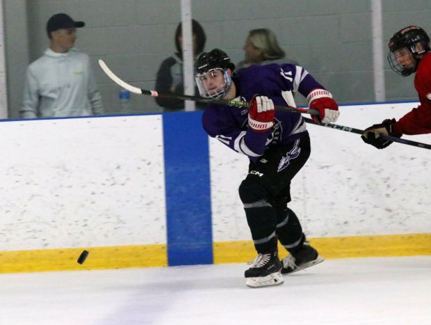 The ice hockey teams from Grosse Ile and Brownstown Woodhaven...