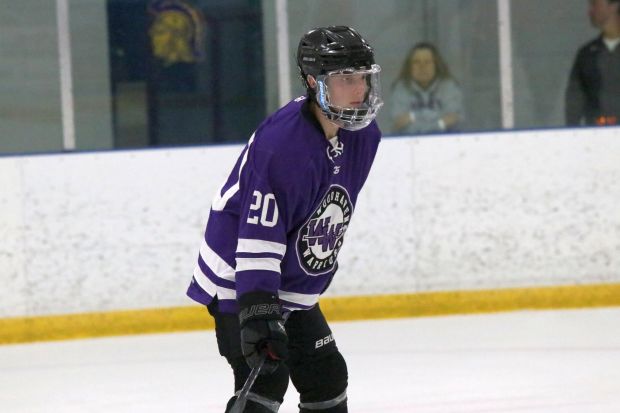 The ice hockey teams from Grosse Ile and Brownstown Woodhaven...