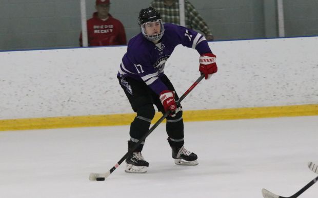 The ice hockey teams from Grosse Ile and Brownstown Woodhaven...