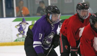 Woodhaven, Grosse Ile leaning on veteran coaches during summer season – The News Herald