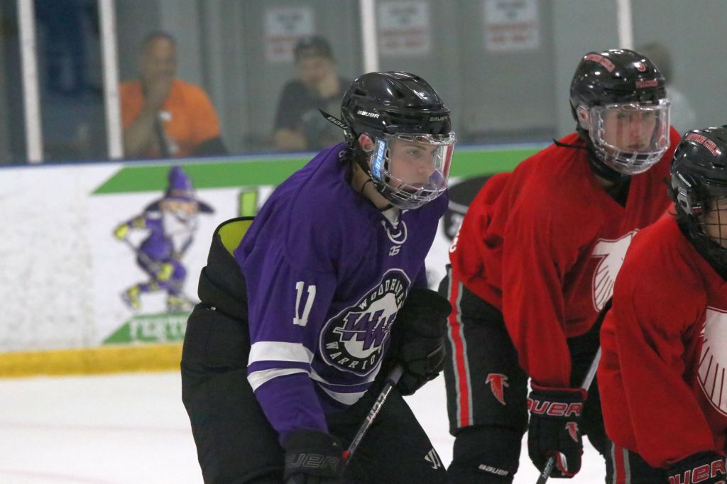 Woodhaven, Grosse Ile leaning on veteran coaches during summer season – The News Herald